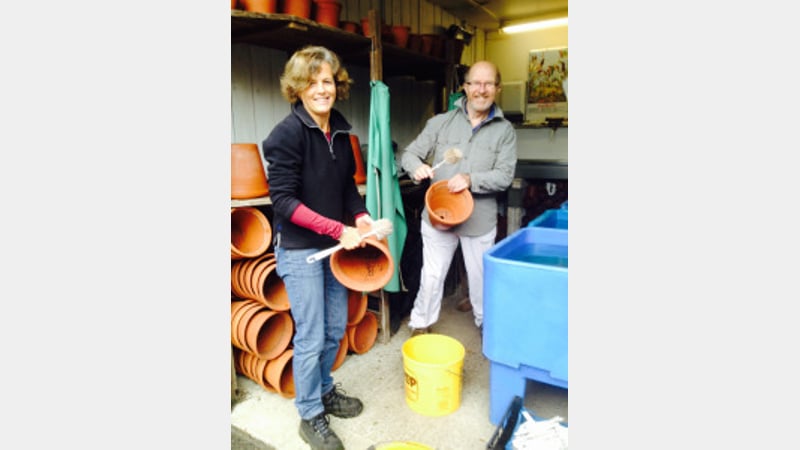 Washing pots, @westdeangardens