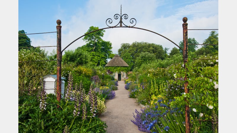 The cutting gardens at West Dean Garden with historic Apple Store in the background