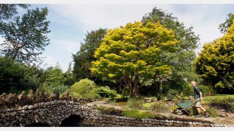 Bridge renovation at West Dean Gardens