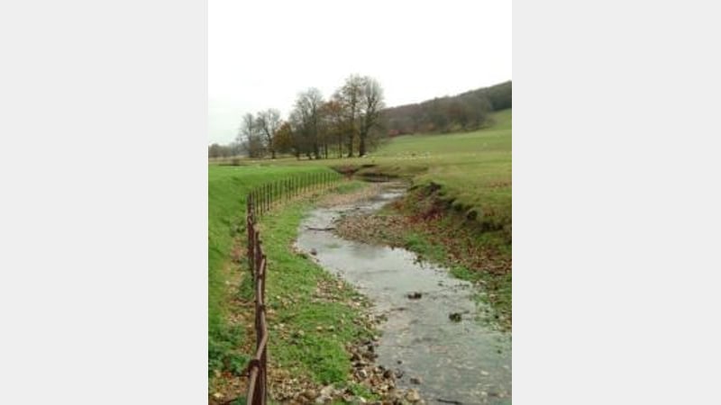 The river at West Dean Gardens West Sussex