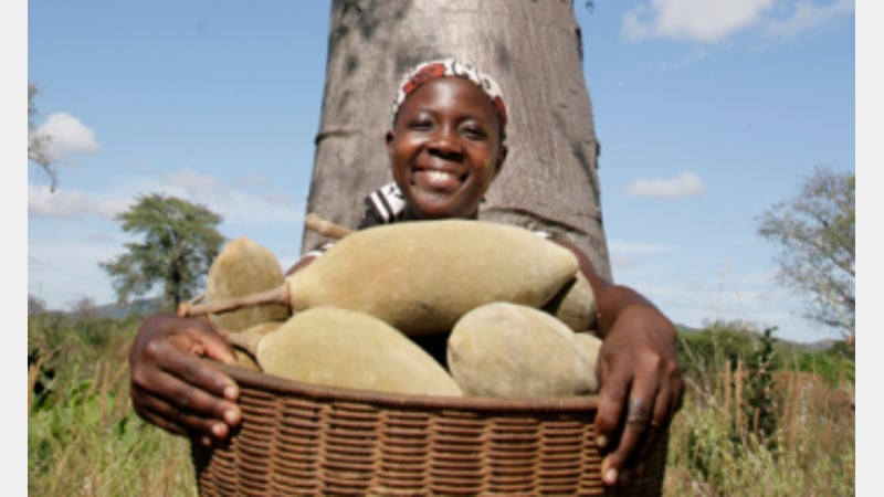 Baobab fruit