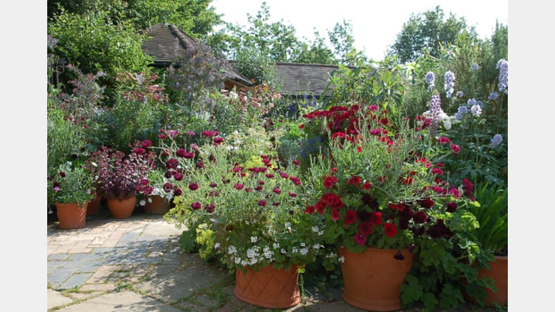 Picture and Planting by Harriet at Whichford Pottery