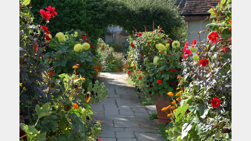 Picture and Planting by Harriet at Whichford Pottery
