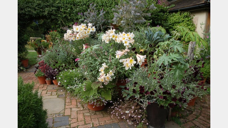 Picture and Planting by Harriet at Whichford Pottery