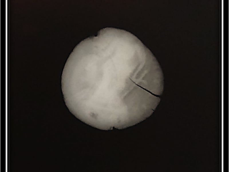 Figure 6 X-Ray of Roman coin at 100kv 2min 30 sec 3mA