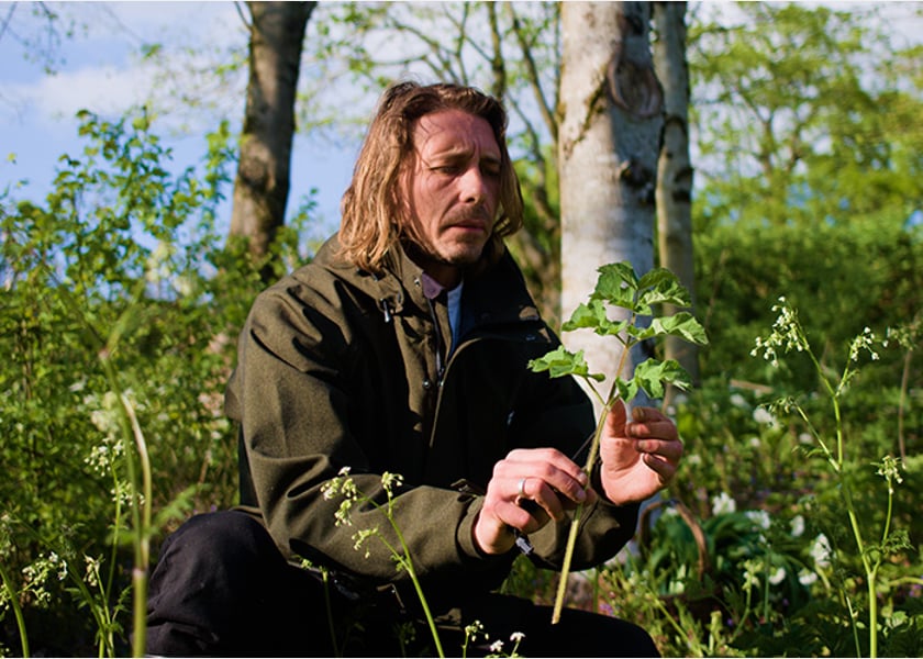 Foraging_Walk_West_Dean_Event