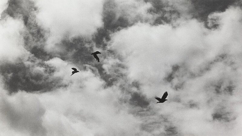 Image: ‘no horizons, a one day 50 mile walk, southern england, early spring 1976’ Hamish Fulton