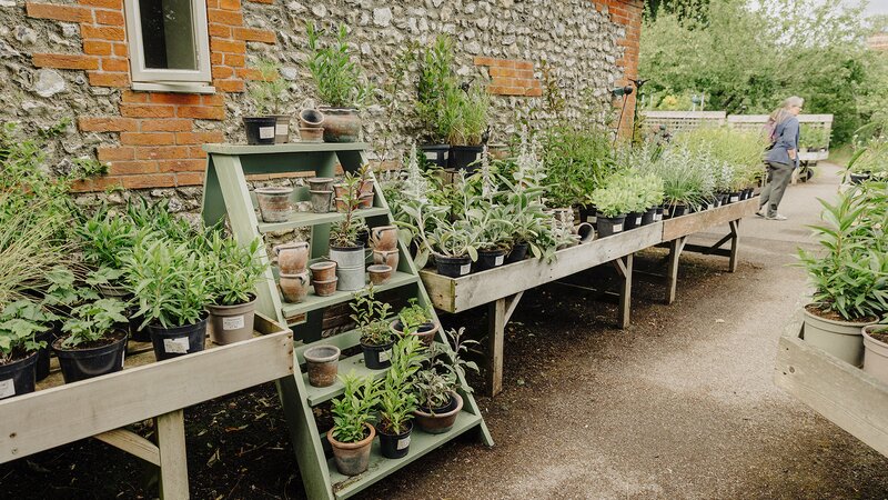 plant-fairs-roadshow-west-dean-gardens-autumn-plant-fair