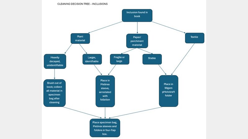 the cleaning decision tree, showing how inclusions were categorised.