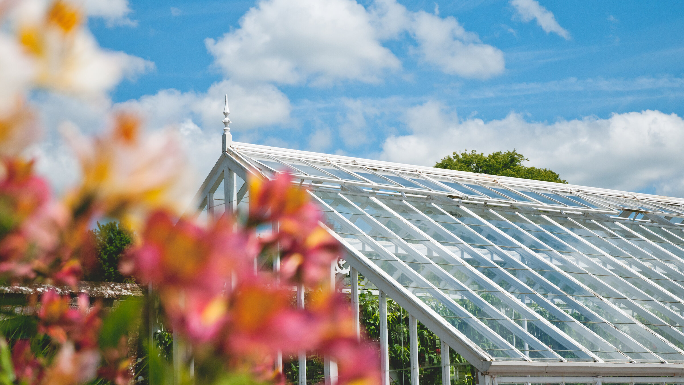 Victorian Glasshouses West Dean Gardens