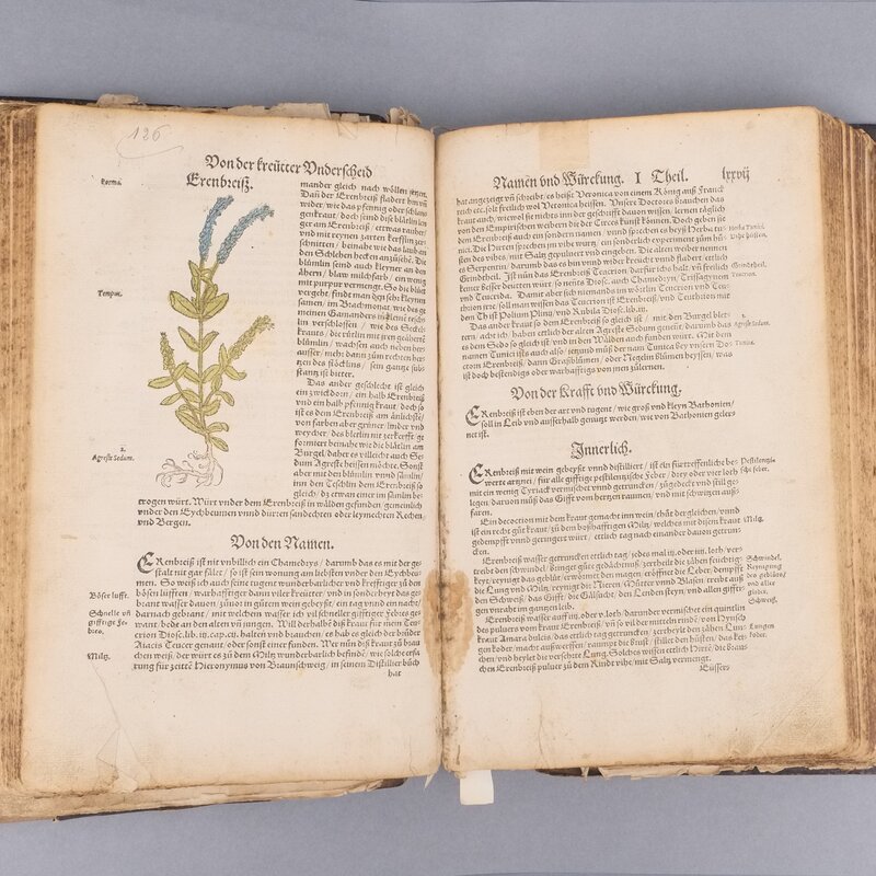 Kreuterbuch book conservation