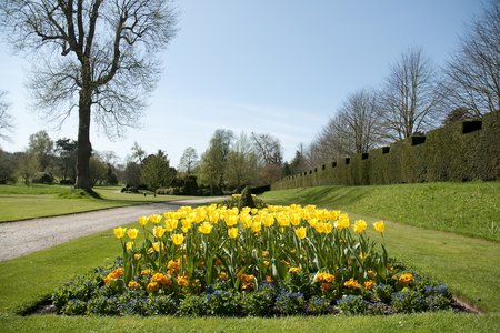 Tulip display at West Dean Gardens