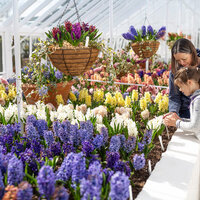 Mothers Day at West Dean Gardens